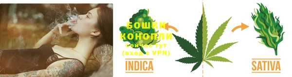 эйфоретик Осташков