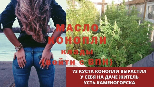 эйфоретик Осташков