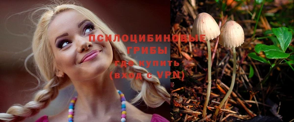 эйфоретик Осташков